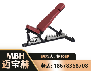 连云港可调哑铃椅